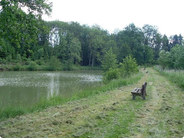 hu08.jpg